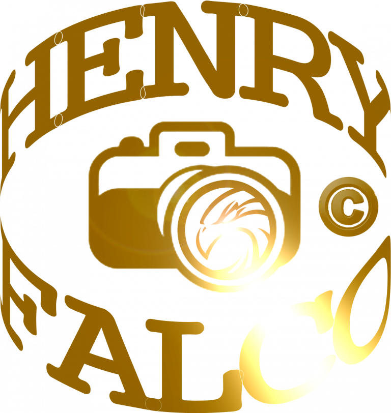 HENRY FALCO